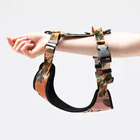 Dog or cat  pressure free harness "Play with my nuts" - Master