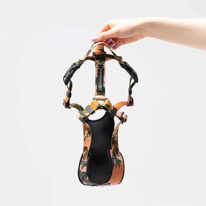Dog or cat  pressure free harness "Play with my nuts" - Master