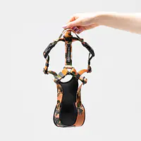 Dog or cat  pressure free harness "Play with my nuts" - Master