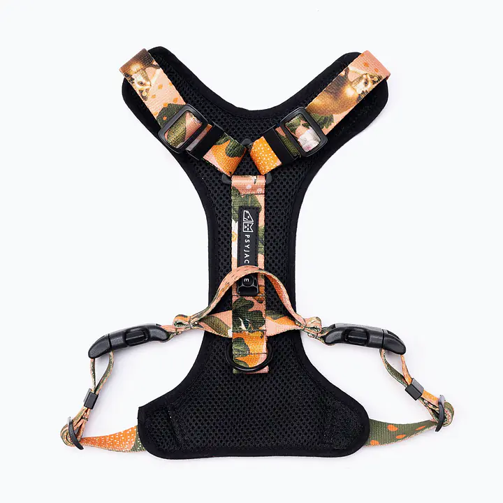 Dog or cat  pressure free harness "Play with my nuts" - Master