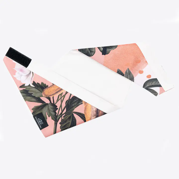 Bandanka "Wie wiórka co dobre" - Master