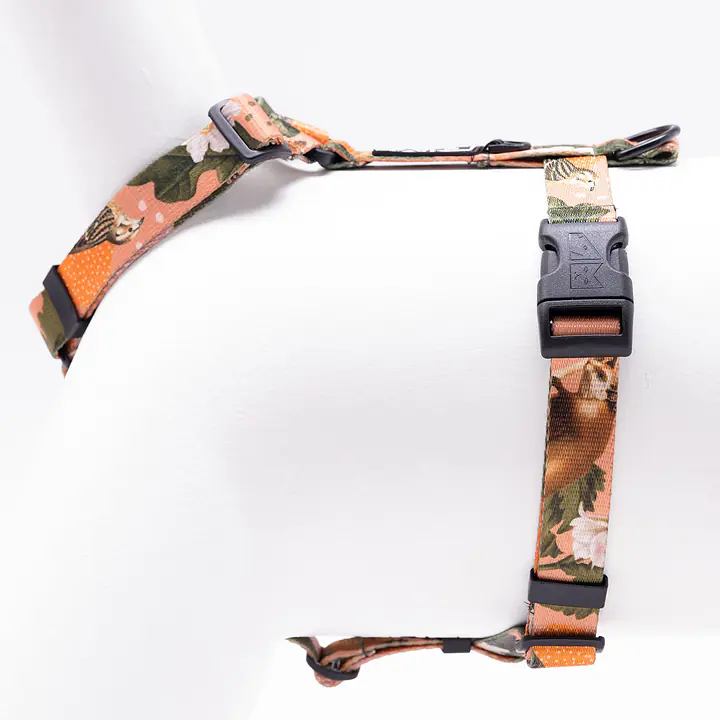 Dog or cat guard harness "Play with my nuts" - Master