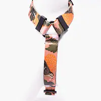 Dog or cat guard harness "Play with my nuts" - Master