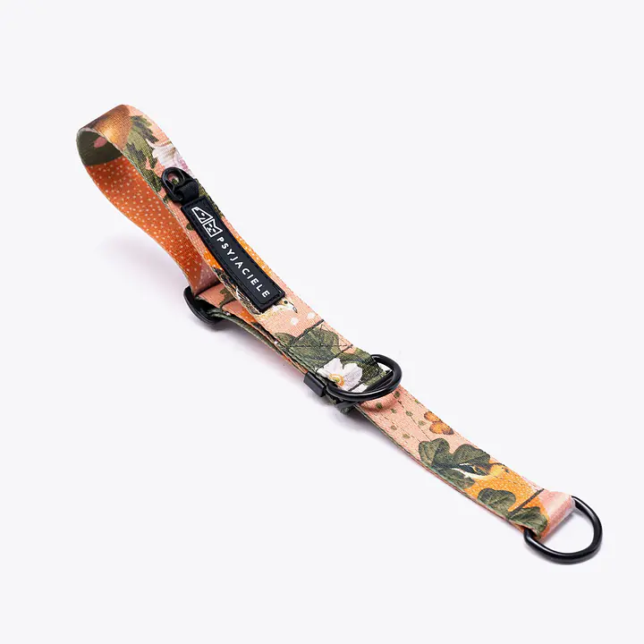 Obroża półzaciskowa dla psa lub kota "Wie wiórka co dobre" - Master