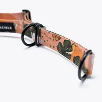 Half-clamp collar "Play with my nuts" - Master