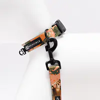 Dog or cat collar "Play with my nuts" - Master