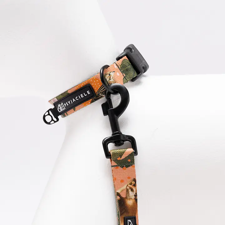 Dog or cat collar "Play with my nuts" - Master