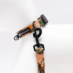 Dog or cat collar "Play with my nuts" - Master