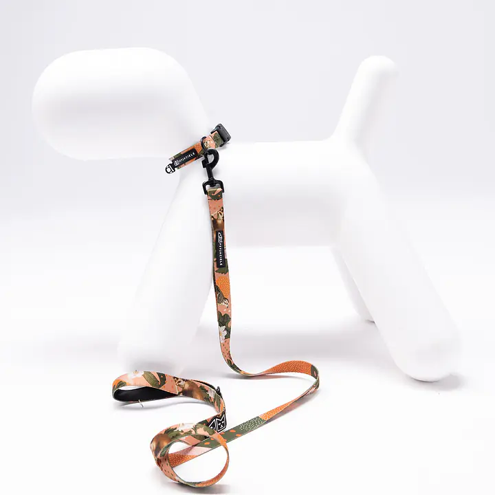 Dog or cat collar "Play with my nuts" - Master