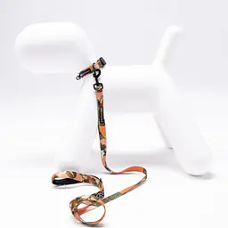 Dog or cat collar "Play with my nuts" - Master