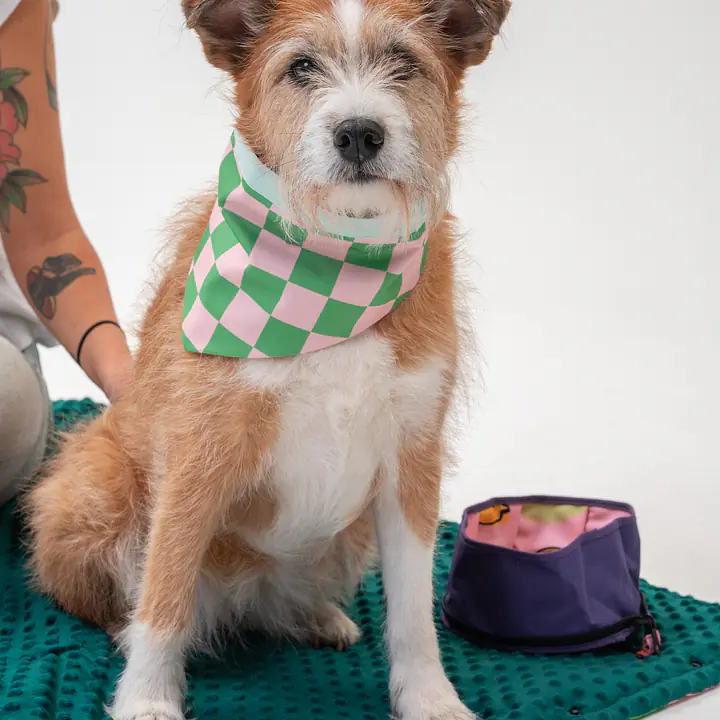 Matotorba - przenośna mata dla psa lub kota  - Master