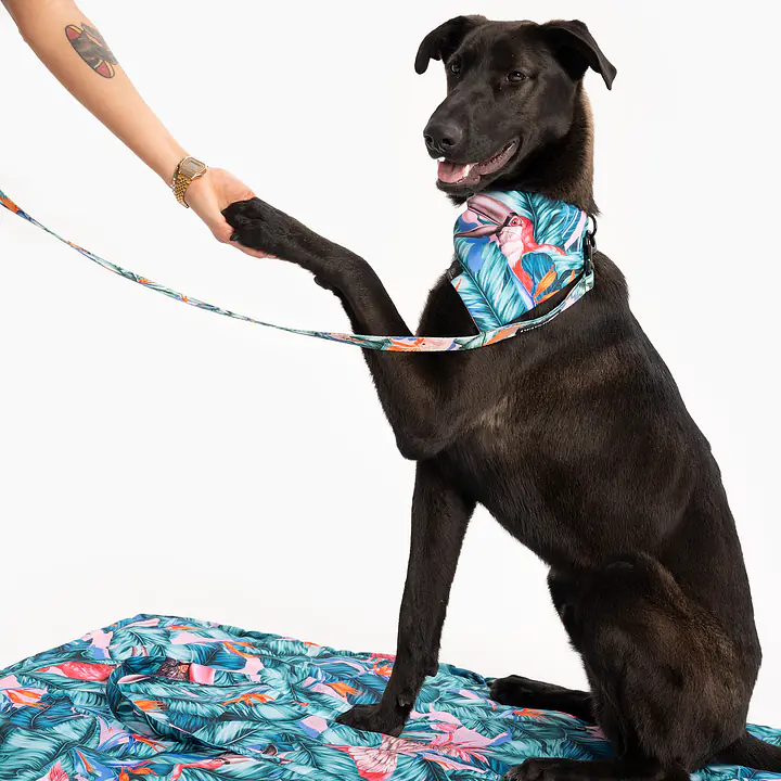 Matotorba - przenośna mata dla psa lub kota  - Master