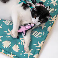 Double sided mat for dog or cat - Master