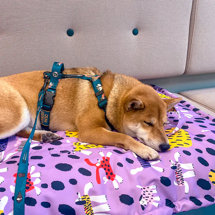 Double sided mat for dog or cat - Master