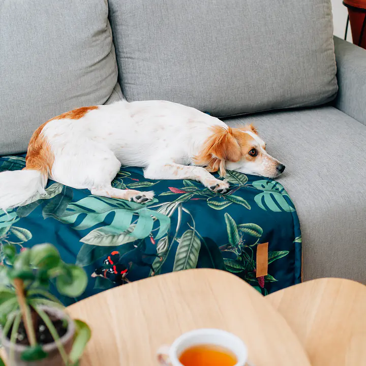 Mata dla psa lub kota - Wzór: Psikolaż, Rozmiar: S