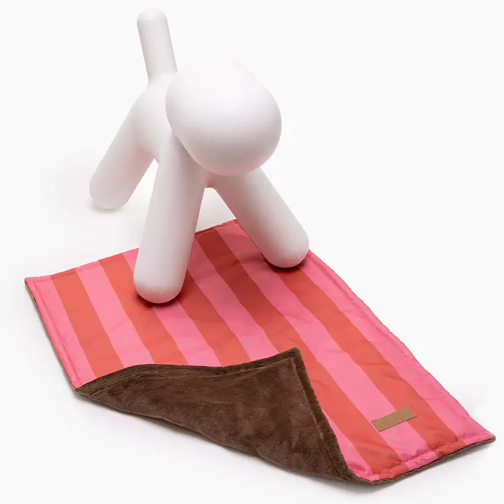 Double sided mat for dog or cat - pattern: Best with cream, Size: M