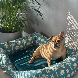 COPY OF Sofa for dogs or cats - Master