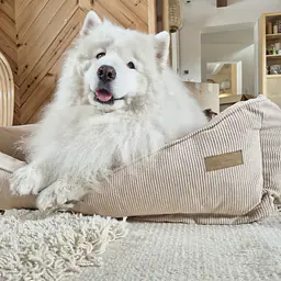 COPY OF Sofa for dogs or cats - Master