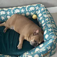 Legowisko kanapa ortopedyczna  - Master