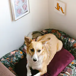 Legowisko ponton - Master