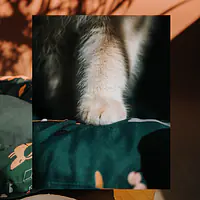 Legowisko ponton  - Master