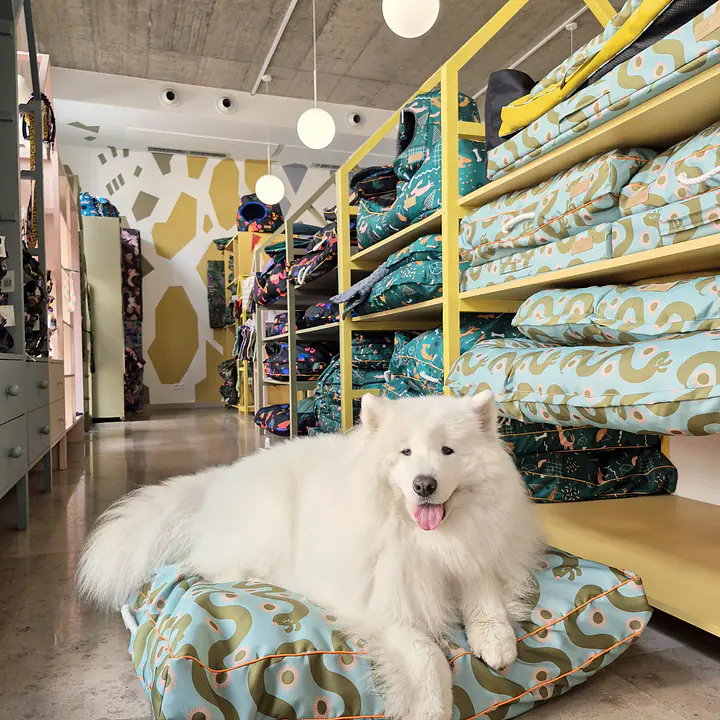 Legowisko poducha prostokątna  - Master