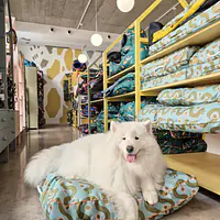 Legowisko poducha prostokątna  - Master