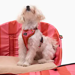 Torba 3 w 1 - transporter/ legowisko przenośne/ fotelik samochodowy - Master