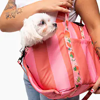 3-in-1 bag - carrier/portable bed/car seat for a dog or cat - Master