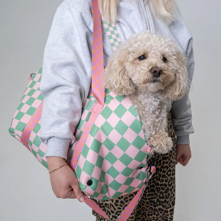 3-in-1 bag - carrier/portable bed/car seat for a dog or cat - Master