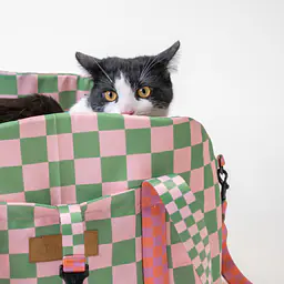 Torba 3 w 1 - transporter/ legowisko przenośne/ fotelik samochodowy - Master