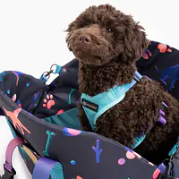 3-in-1 bag - carrier/portable bed/car seat for a dog or cat - Master