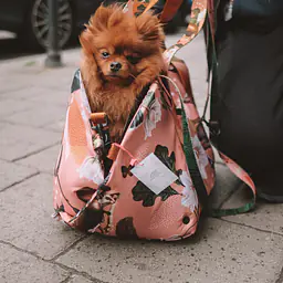 Torba 3 w 1 - transporter/ legowisko przenośne/ fotelik samochodowy - Master