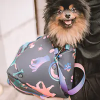 3-in-1 bag - carrier/portable bed/car seat for a dog or cat - Master