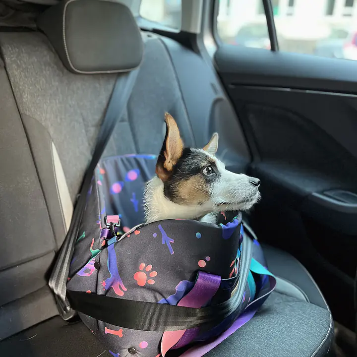 3-in-1 bag - carrier/portable bed/car seat for a dog or cat - Master