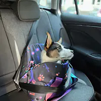 3-in-1 bag - carrier/portable bed/car seat for a dog or cat - Master