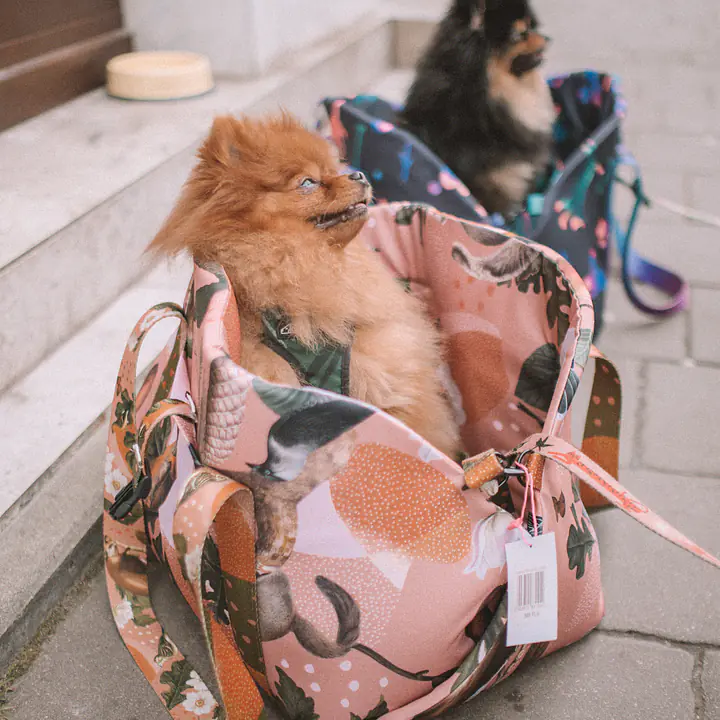 Torba 3 w 1 - transporter/ legowisko przenośne/ fotelik samochodowy - Wzór: Wie wiórka co dobre