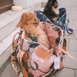 Torba 3 w 1 - transporter/ legowisko przenośne/ fotelik samochodowy - Wzór: Wie wiórka co dobre