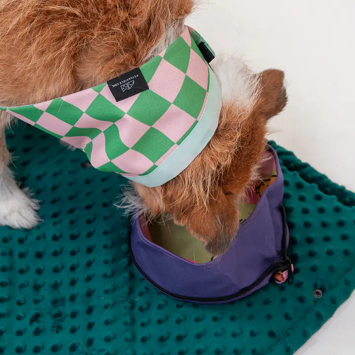 Składana miska podróżna  - Master