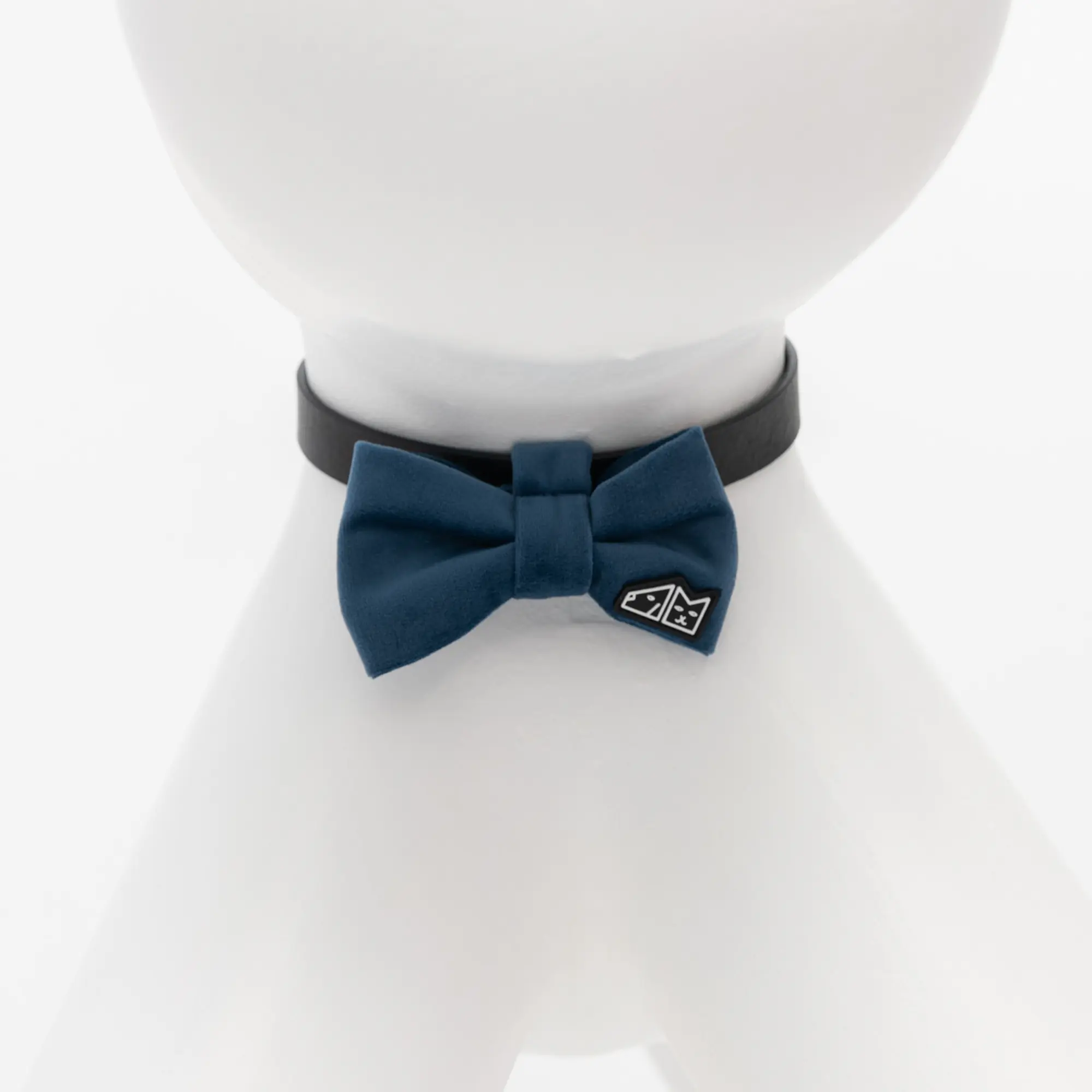 Muszka "Kałużowy błękit" - Master