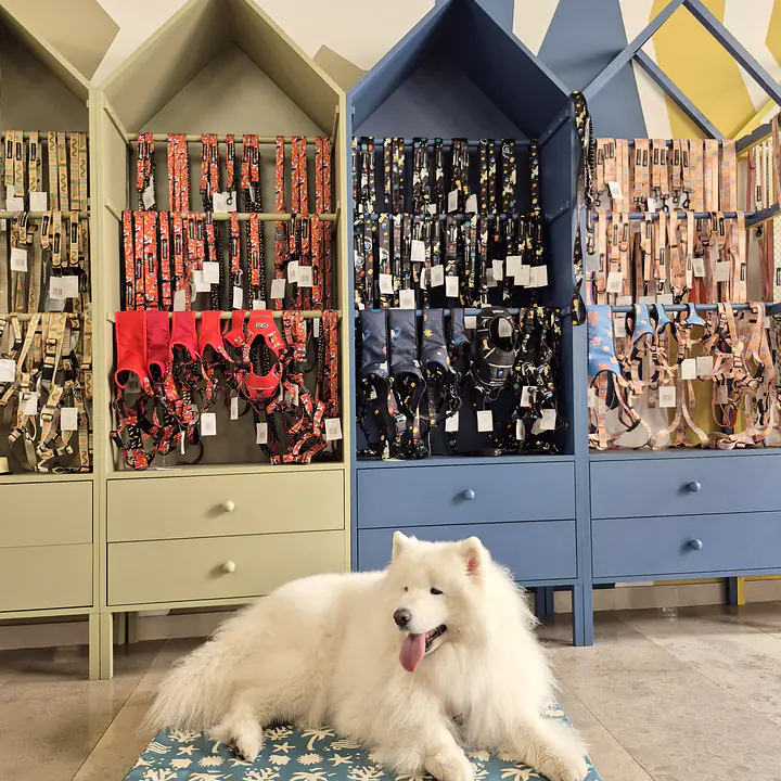  Legowisko materac ortopedyczny - Master