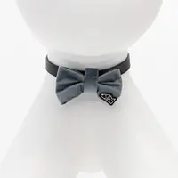 Muszka "Szara jak Polska" - Master