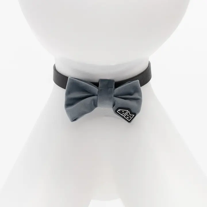 Muszka "Szara jak Polska" - Master