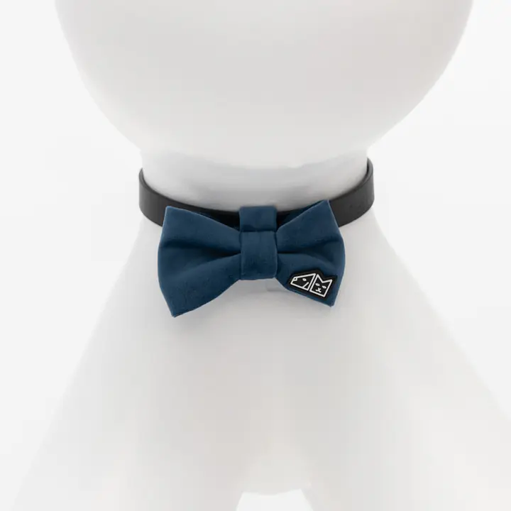 Muszka "Podobno turkus" - Master