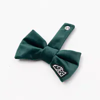 Bow tie "Bottle green"  - Master