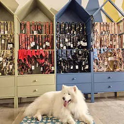 COPY OF Custom mattress for dog or cat - Master