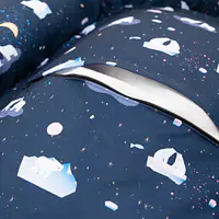 Pontoon "Polar pattern" - Master