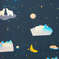 Pontoon "Polar pattern" - Master