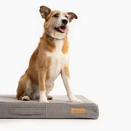COPY OF Custom mattress for dog or cat - Master