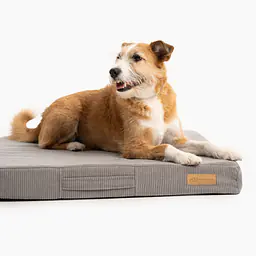 COPY OF Custom mattress for dog or cat - Master
